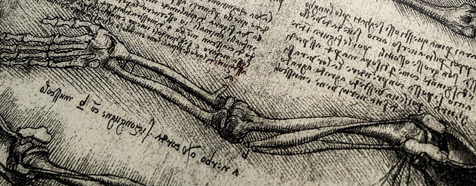 ilustración cientifica de Leonardo Da Vinci
