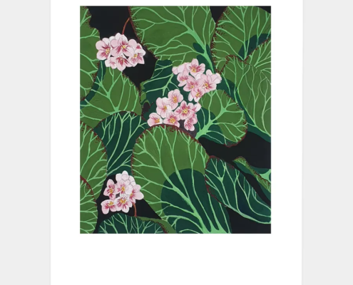 BERGENIA-gouache-original-ainhoa-toyos-copia BERGENIA gouache original ainhoa toyos
