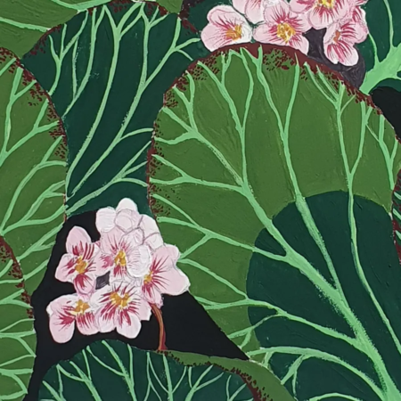 BERGENIA gouache original detalle flores ainhoa toyos