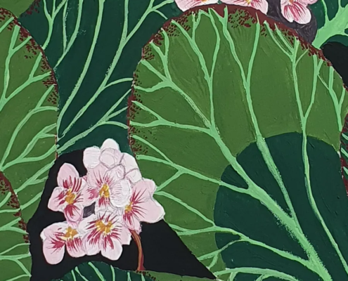 BERGENIA gouache original detalle flores ainhoa toyos BERGENIA gouache original detalle flores ainhoa toyos