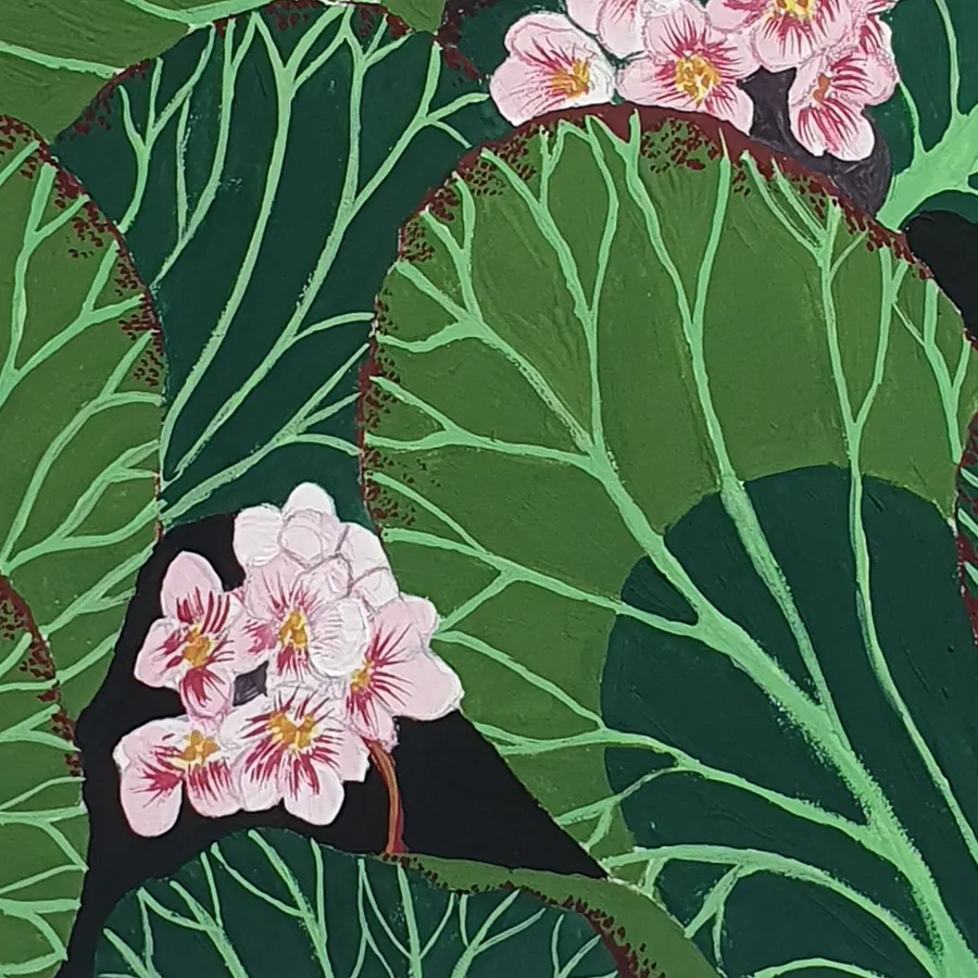 BERGENIA-gouache-original-ainhoa-toyos-copia BERGENIA gouache original ainhoa toyos