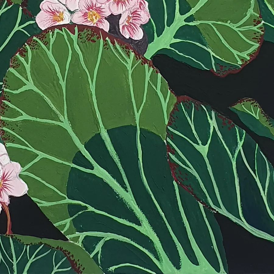 BERGENIA gouache original detalle hojas ainhoa toyos BERGENIA gouache original detalle hojas ainhoa toyos